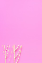 close up of white coral on pink background