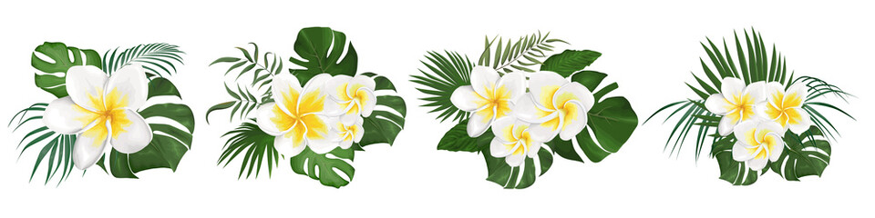 Tropical flowers frangipani and leaves