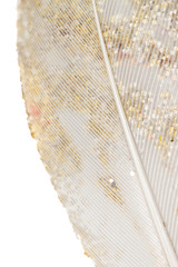 White fabric feather with shiny sparkles isolated