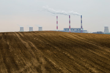 Fototapeta na wymiar Field Plant Panorama Production