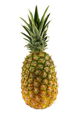 fresh pineapple on white background for design