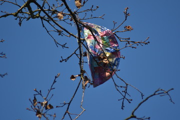 bunter Ballon im Baum
