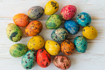 Multi-colored quail Easter eggs on a white wooden background