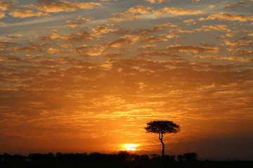 sunset in the plains of mara