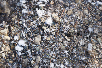 Snow cover with large snowflakes.