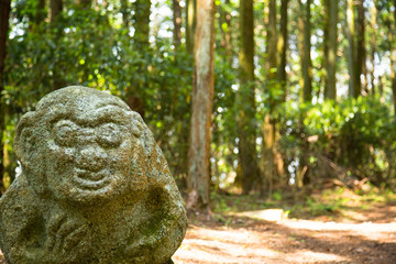 Ancient monkey-shaped stone in the forest