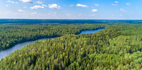 Aerial view of finland in summer.
 green forest and lake in Finland. - Powered by Adobe