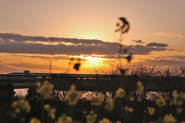 spring sunset