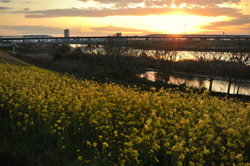 spring sunset