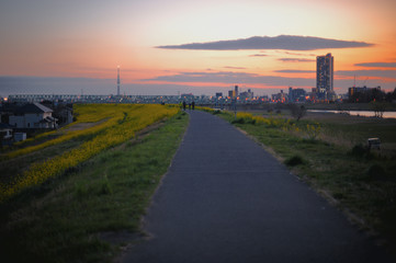 spring sunset