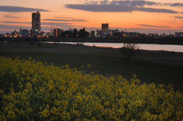 spring sunset