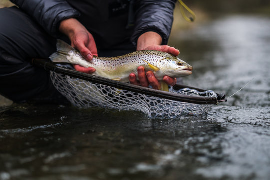 Recreational Fly Fishing for trout - Powered by Adobe