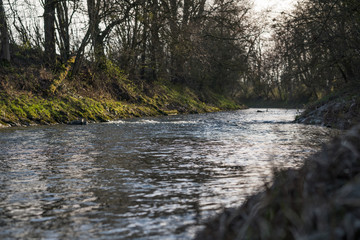 River in Switzerland renaturation