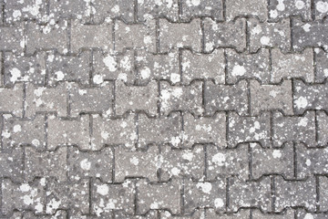 dirty tile in bird droppings