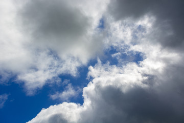 Fototapeta premium clouds in the blue sky