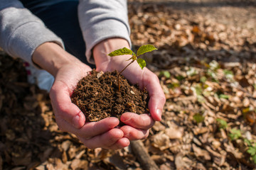 Girl hands holding young plant with soil. Environment preservation concept