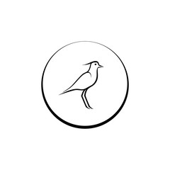 Bird icon isolated on white background 