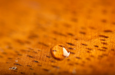 Wet wooden surface.Textured, Backgrounds.