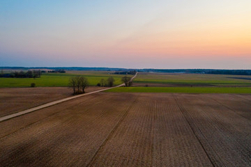 Aerial view of agricultural fields in spring at sunset