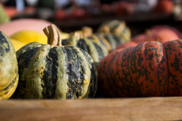 pumpkins at the Piozzo fair