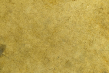 Deer natural leather texture background