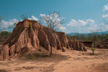 Tree on soil pillar So Din Na Noe in Nan province, Thailand, due to soil erosion has produced stranges shapes