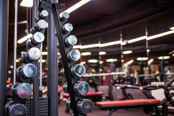 A rack with metal dumbbells in the gym