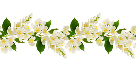 Fototapeta na wymiar Twigs of Jasmine flowers in a seamless pattern