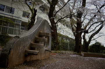 flowerly park