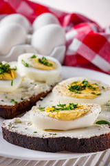 delicious and nutritious cheese and boiled egg sandwich