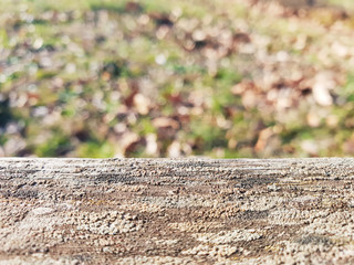Empty wooden surface on blurred nature background on sunny day.