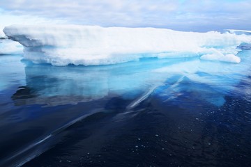 Icebergs underwater , Hope Bay , Antarctica 