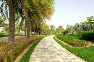 Quiet city street in Dubai. Tiled sidewalk among the road with green palms. Long empty pavement in summer time with green nature.