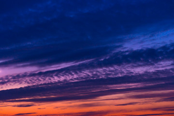 Silhouette of the forest against the night sky