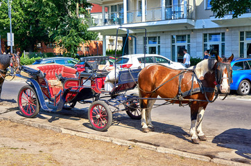 Fototapeta na wymiar City tour in a horse-drawn carriage in Swinemünde. Swinoujscie, Poland