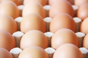 Background of eggs. Eggs close up. Food