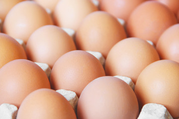 Background of eggs. Eggs close up. Food