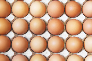Background of eggs. Eggs close up. Food