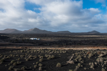 Volcanic Lanzarote landscape. Lanzarote. Canary Islands. Spain