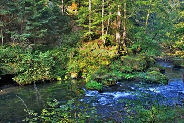 Czech Republic-view on the river Kamenice in Czech Switzerland