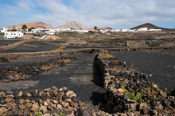 Volcanic Lanzarote landscape. Lanzarote. Canary Islands. Spain