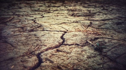 Obraz premium old cracked earth