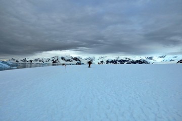 Hiking in Antarctica , Neko Harbour 