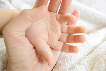 a small heart beats in my mother's hands