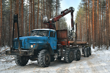 A timber truck stands in a forest plot, ready to be loaded with logs