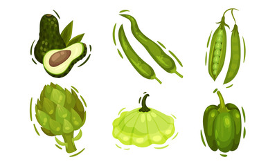 Green Vegetables with Avocado and Bell Pepper Vector Set