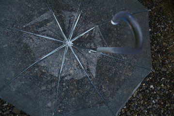 raindrops look beautiful on the surface of a transparent umbrella