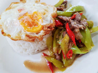 Stir-Fried Beef with Green Peppers with fried egg served with steam rice