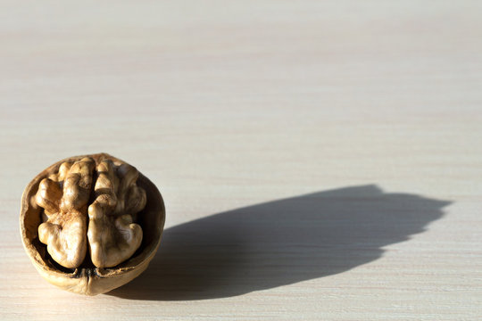 walnut in the shell is like a brain.