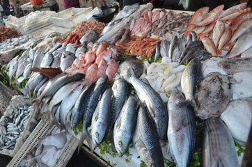 Fresh seafood from Essaouira Fish market